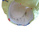 Set da 6 Pannolini di Stoffa Unisex Three Little Imps con Disegni (dotati di 2 inserti ciascuno)